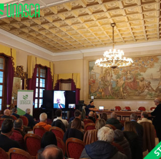 𝗢𝗴𝗴𝗶, 𝗻𝗲𝗹 𝗦𝗮𝗹𝗼𝗻𝗲 𝗱𝗶 𝗥𝗮𝗽𝗽𝗿𝗲𝘀𝗲𝗻𝘁𝗮𝗻𝘇𝗮 𝗱𝗲𝗹𝗹𝗮 𝗣𝗿𝗼𝘃𝗶𝗻𝗰𝗶𝗮 𝗱𝗶 𝗕𝗿𝗶𝗻𝗱𝗶𝘀𝗶, si è svolto un importante incontro formativo che ha coinvolto tutti gli studi, associati e non